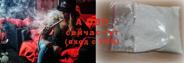 индика Сафоново