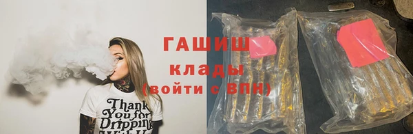 индика Сатка