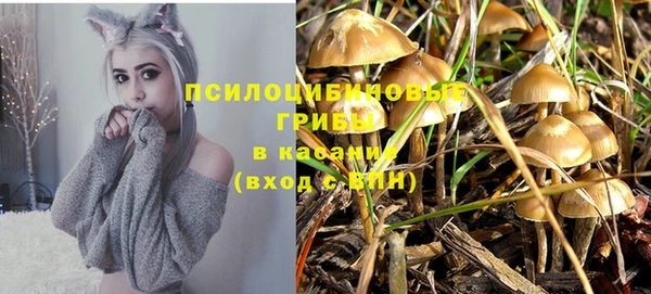 сатива Балабаново